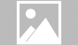 求生记漫画,荒野求生，人性与勇气的较量