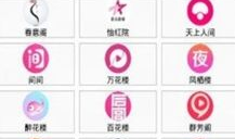 91直播钻石会员账号,解锁无限精彩，畅享专属特权